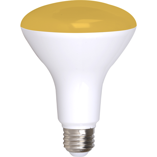 Simply Conserve: BR30 Smart LED Flood (2-pk)