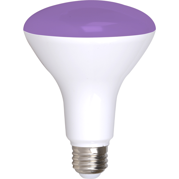 Simply Conserve: BR30 Smart LED Flood (2-pk)