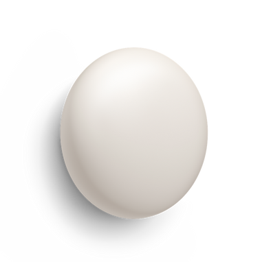 Nest Learning Thermostat (4th gen)