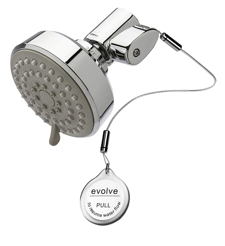 Evolve Multifunction Showerhead with ShowerStart TSV – DTE Energy