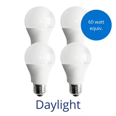Four standard lightbulbs in daylight with a burst reading 60 watt equivalent