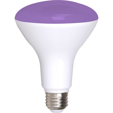 Simply Conserve: BR30 Smart LED Flood (2-pk)