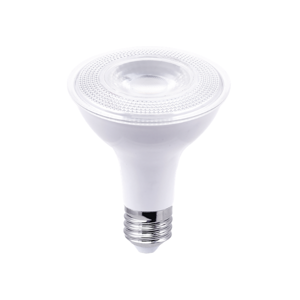 A single Par30 floodlight in white with a silver base.